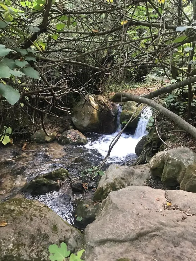 Vila Bosque Alto El Bosque El Bosque (Cadiz)