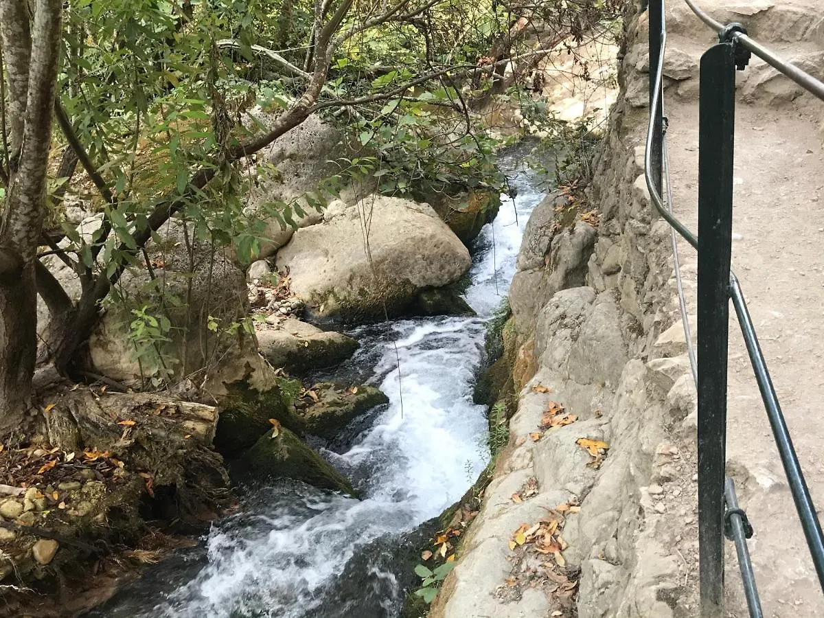 Vila Bosque Alto El Bosque Španělsko